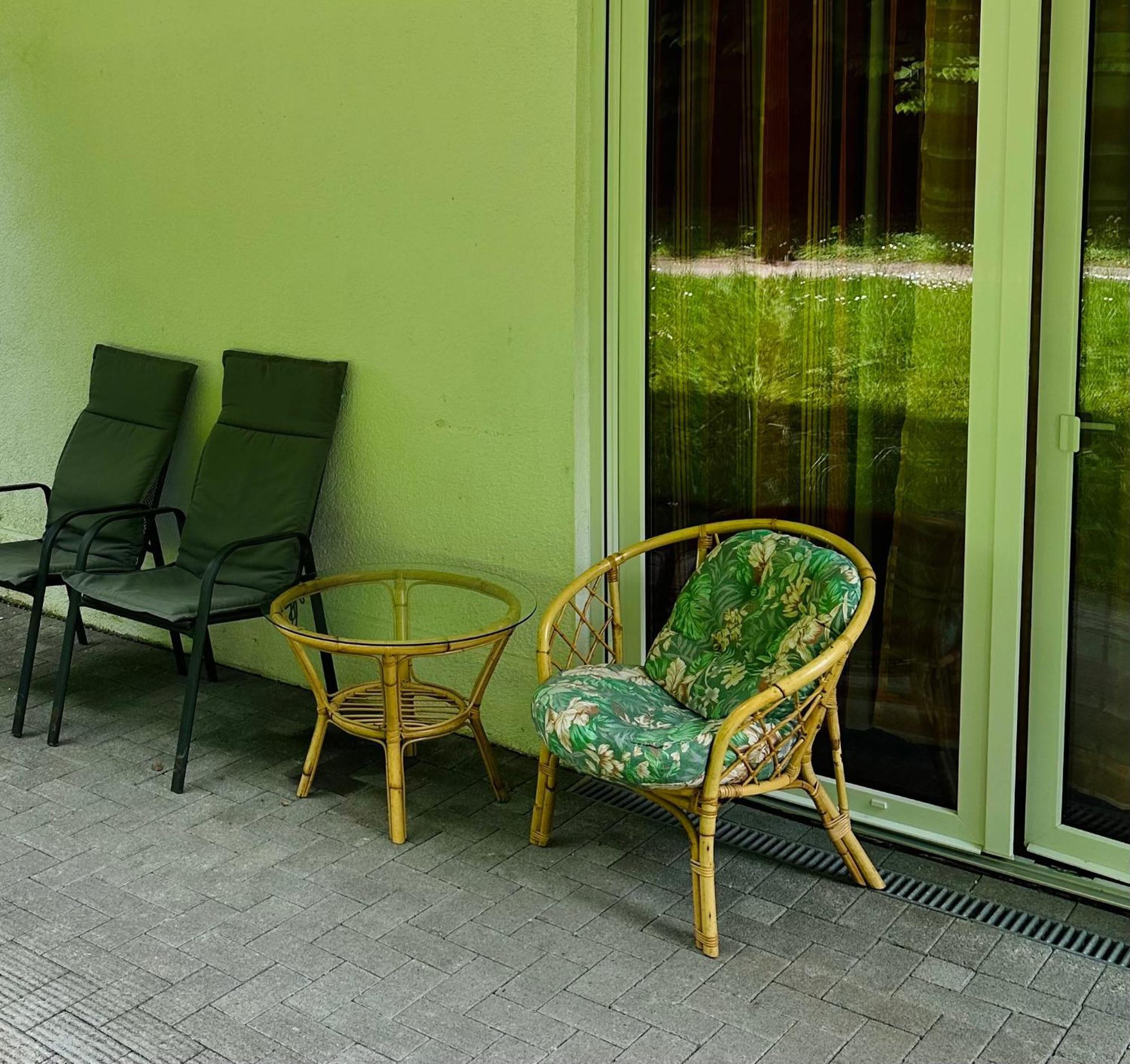 Westfalenpark Apartment With Terrace ドルトムント エクステリア 写真